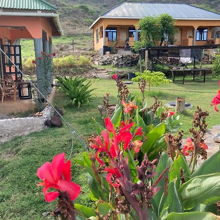 Lake Natron Maasai Guesthouse Mtowabaga Екстер'єр фото