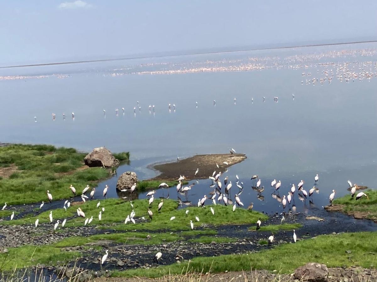 Lake Natron Maasai Guesthouse Mtowabaga Екстер'єр фото