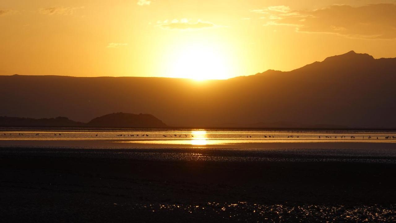 Lake Natron Maasai Guesthouse Mtowabaga Екстер'єр фото